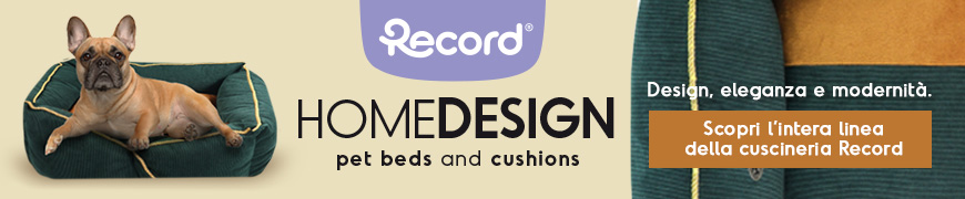 Home design - Record