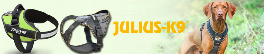 Julius-K9
