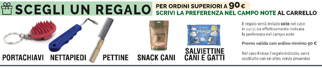 Promozione Estate 2026