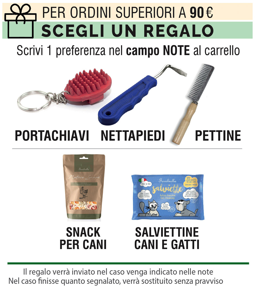 Promozione Estate 2026