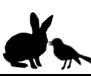 Altri animali
