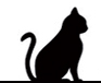 Gatti