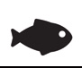 Pesci